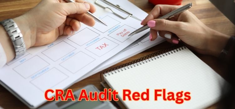 CRA Audit Red Flags